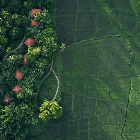 Hotel Jetwing Kaduruketha Wellawaya Esterno foto