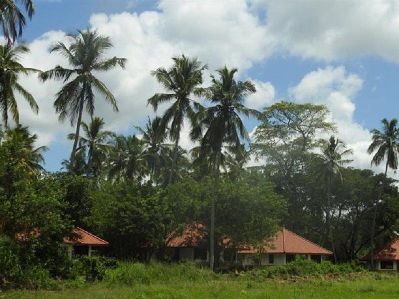 Hotel Jetwing Kaduruketha Wellawaya Esterno foto